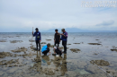 อุทยานแห่งชาติหาดวนกร เฝ้าระวังปะการังฟอกขาวและปกป้องระบบนิเวศทางทะเล